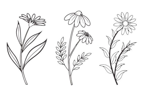 Birth Month Flowers Line Art Set SVG for Creative Design