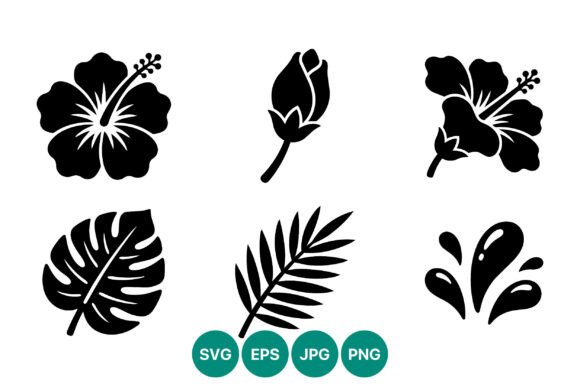 Hibiscus Flowers Palm Leaves Black White Graphics