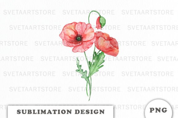 Watercolor Red Poppy Flowers Bouquet Graphics